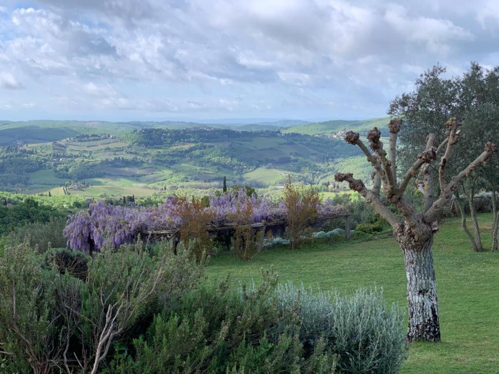 رادا إنْ كيانتي La Locanda Volpaia المظهر الخارجي الصورة
